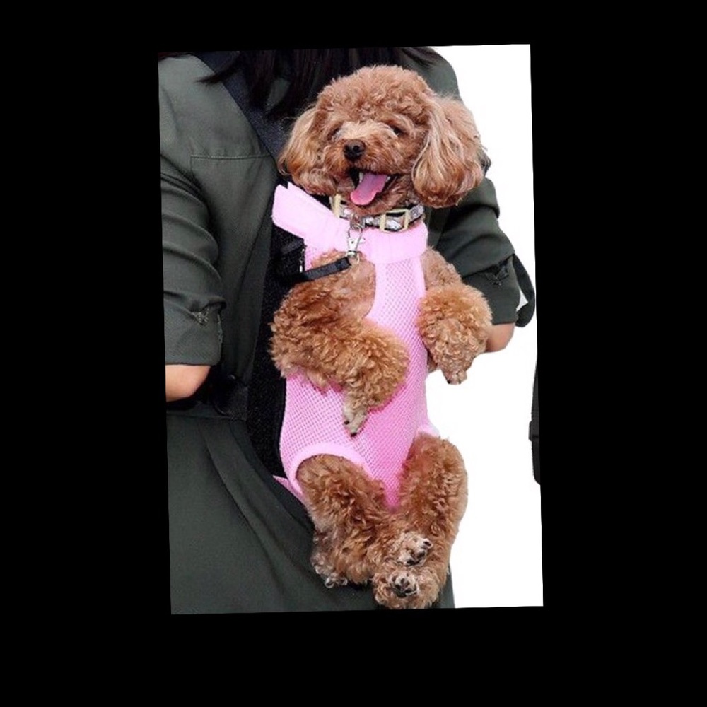 Mesh Pet Carrier BackPack